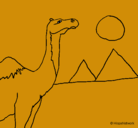 Dibujo Camello pintado por luneta