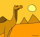 Dibujo Camello pintado por margarit