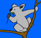 Dibujo Koala pintado por llololololollol