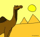 Dibujo Camello pintado por yoli15