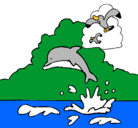 Dibujo Delfín y gaviota pintado por miren