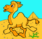 Dibujo Camello pintado por txanketito