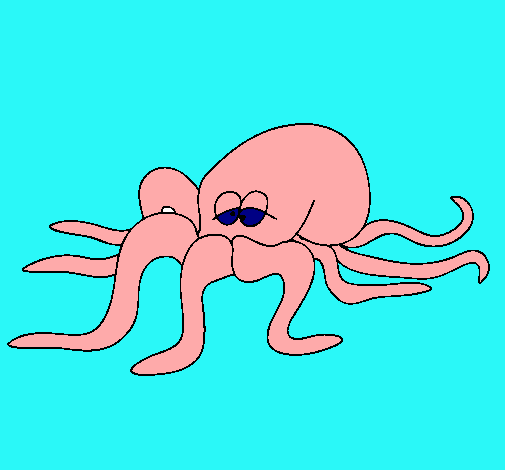 Pulpo