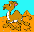 Dibujo Camello pintado por agila