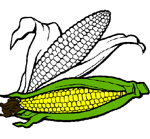 Dibujo Mazorca de maíz pintado por andys