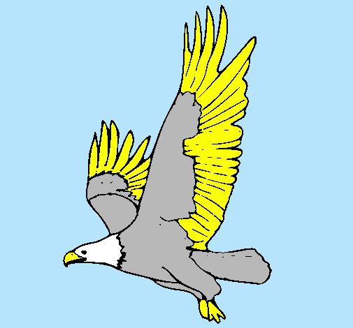 Águila volando