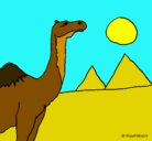 Dibujo Camello pintado por Triops