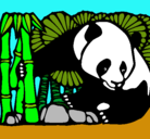 Dibujo Oso panda y bambú pintado por javierita