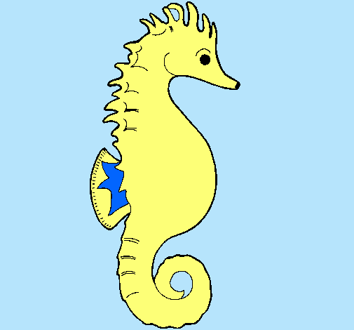 Caballito de mar