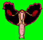 Dibujo Vagina pintado por VIVI1771