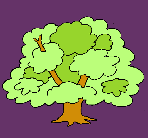 Árbol