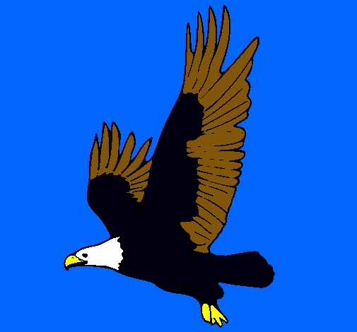 Águila volando