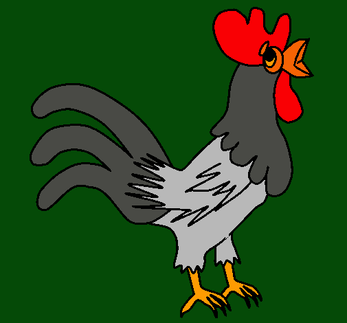 Gallo