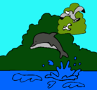Dibujo Delfín y gaviota pintado por LUSCESITA
