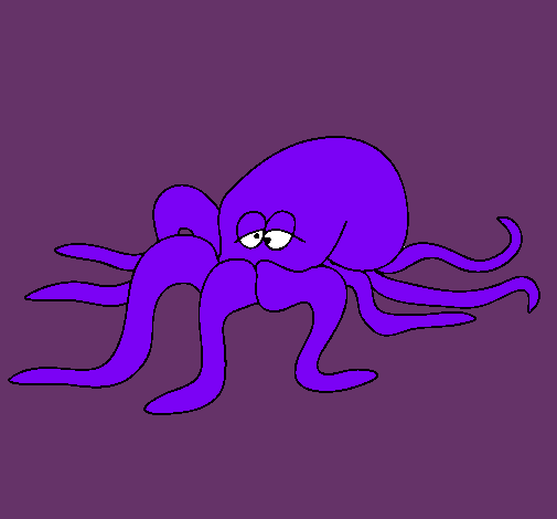 Pulpo