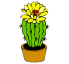 Dibujo Cactus con flor pintado por sabri9999