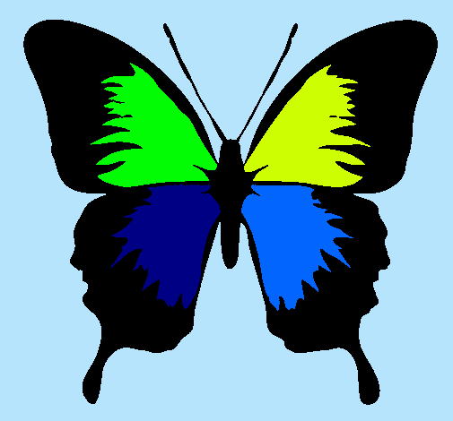 Dibujo Mariposa con alas negras pintado por nikitho