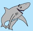 Dibujo Tiburón alegre pintado por ethan