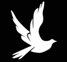 Dibujo Paloma de la paz al vuelo pintado por olla