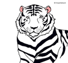 Dibujo Tigre pintado por tigre 