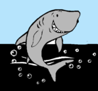 Dibujo Tiburón pintado por acuatico 