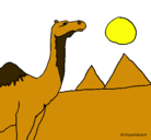 Dibujo Camello pintado por wara