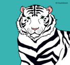 Dibujo Tigre pintado por Poli