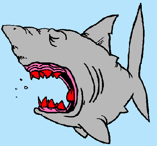 Dibujo Tiburón pintado por nikitho