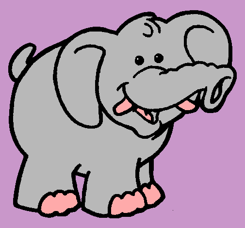 Elefante