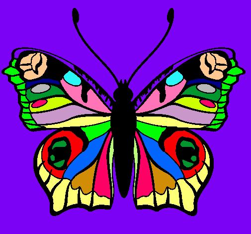 Mariposa 