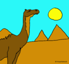 Dibujo Camello pintado por camallo