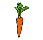 Dibujo zanahoria pintado por andys