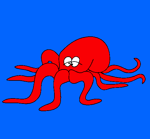 Pulpo