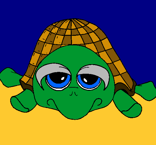 Tortuga