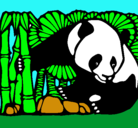 Dibujo Oso panda y bambú pintado por luxia