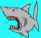 Dibujo Tiburón pintado por casz