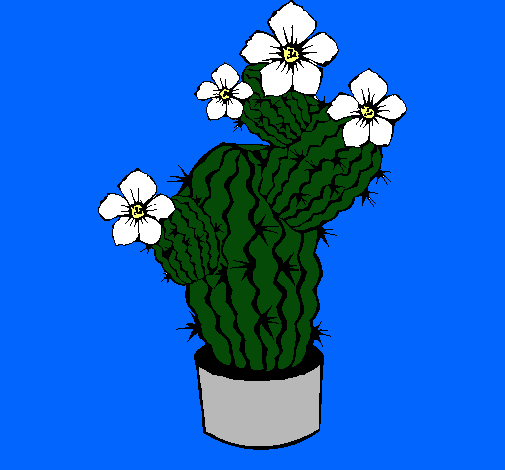 Flores de cactus