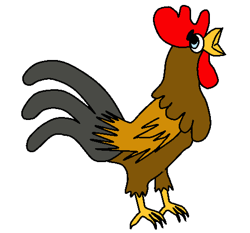 Gallo