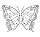 Dibujo Mariposa pintado por pariposa