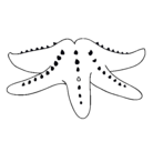 Dibujo Estrella de mar pintado por khkgitpgoolioih