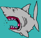 Dibujo Tiburón pintado por yordin 