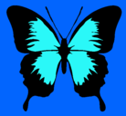 Dibujo Mariposa con alas negras pintado por MARIPOSAS