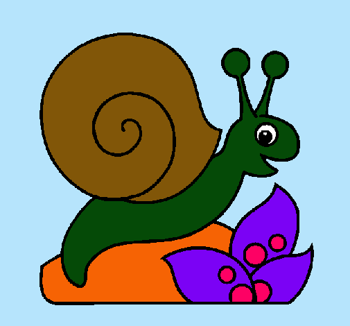 Caracol