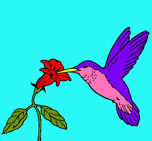 Colibrí y una flor