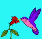 Dibujo Colibrí y una flor pintado por jhoseline