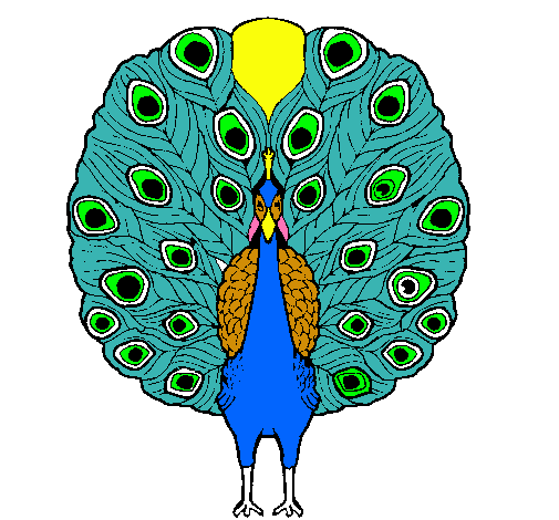 Pavo real