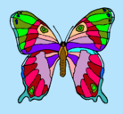 Dibujo Mariposa pintado por TaRaDo