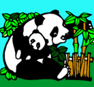 Dibujo Mama panda pintado por danil  