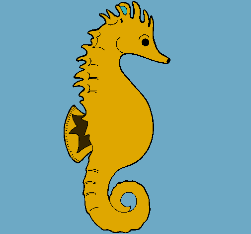 Caballito de mar