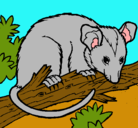 Dibujo Ardilla possum pintado por  viesta